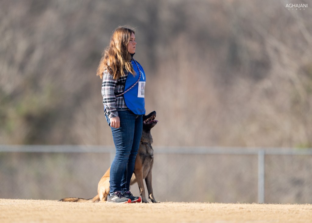 About Us Kentucky Dog Training