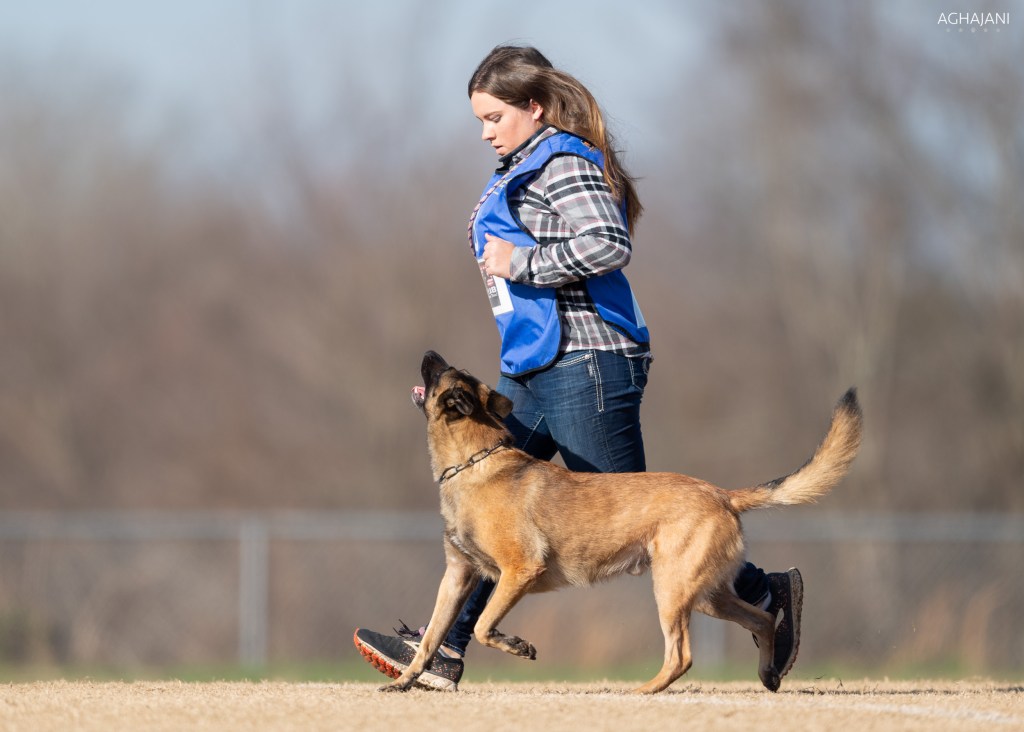 About Us Kentucky Dog Training