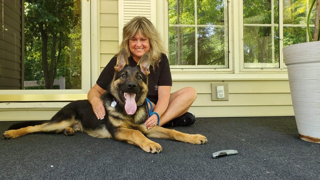 Available Dogs Kentucky Dog Training